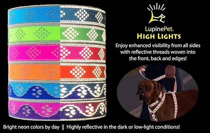 Lupine Reflective Small Dog Collar 3/4" Wide Blue Paws Adjusts from 9" to 14"