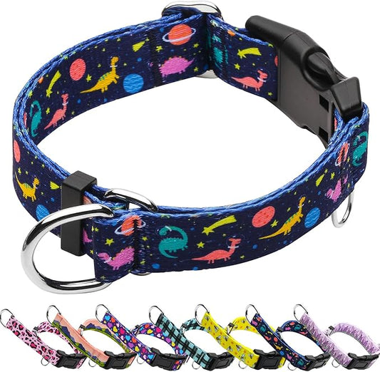 Martingale Collar for Dogs with Buckle No Pull Adjustable Nylon Limited Slip Training Dog Collars (Blue Dinosaur, Large)