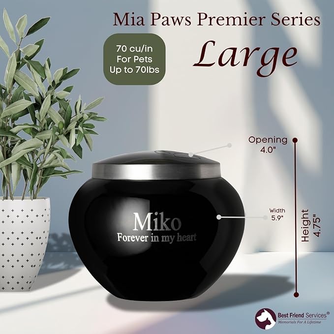 Mia Paws Premier Series Pet Urn for Dogs with Personalized Laser Engraving (Large - Pets up to 65 lbs, Ebony, Double Pewter Paws)