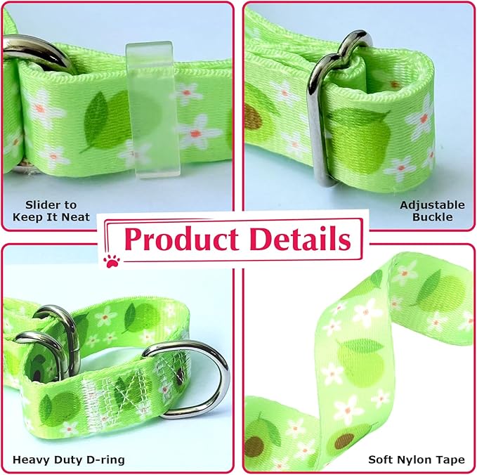 Martingale Dog Collar for Medium Dogs，No-Slip Escape Proof Choke No Pull Avocado Dog Collar for Male and Female Dogs, Fruit Dog Collar for Walking Running Training