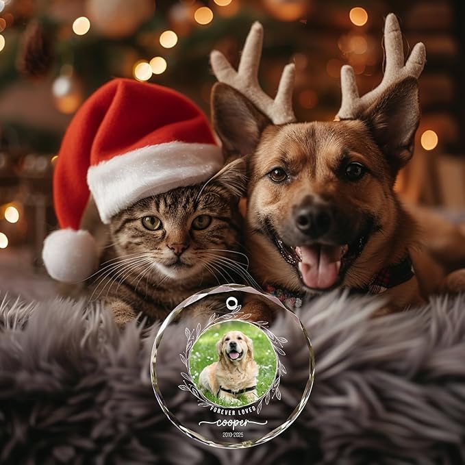 Personalized Dog Loss Crystal Ornament - Customize Dog Photo and Name Glass Memorial Ornament, Custom Dogs Sympathy Gifts, Puppy Condolence Gift, Pet in Memory Keepsake, Remembrance Gifts for Pet