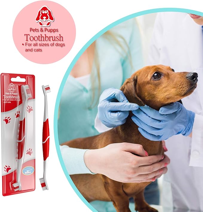 Pet Toothbrush for Dogs, Cats with Soft Bristles - Easy Teeth Cleaning & Dental Care, Non Slip Dual Head Dog Toothbrush for Medium & Large Pets, Toothpaste Not Included, Pack of 1 (Green)