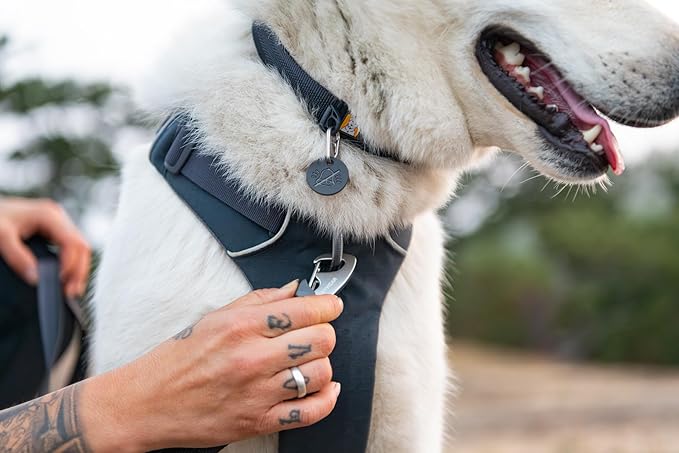 Ruffwear, Front Range Dog Collar, Adjustable Tubelok Webbing, Lightweight, Side Release Buckle, Aluminum V-Ring, Durable for Everyday Use, Basalt Gray, 20"-26"