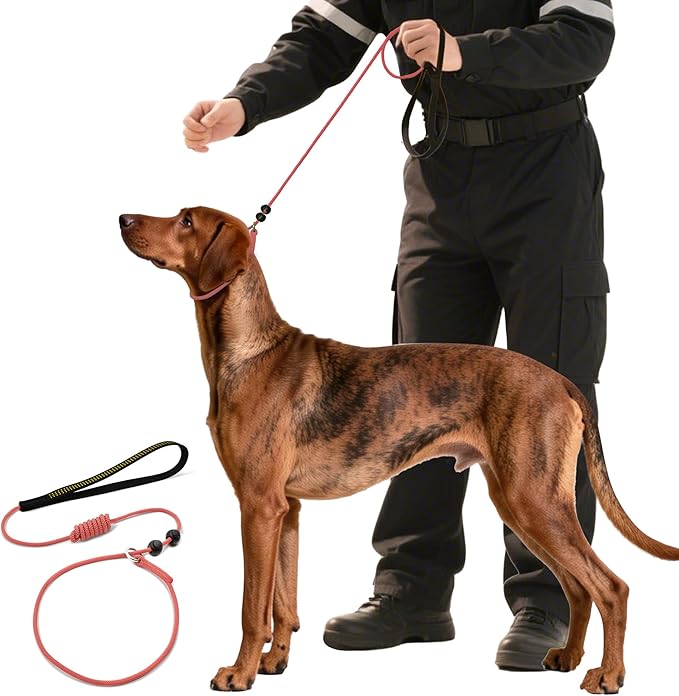 BeauGo|Dog Leash Slip Lead|Dog Training Lead,Trainer Rope Specifically Designed for DogTraining and NGKC Competition,2-in-Dog Lead & Collar,Trainer Rope for Small Medium Large Dogs(Pink)