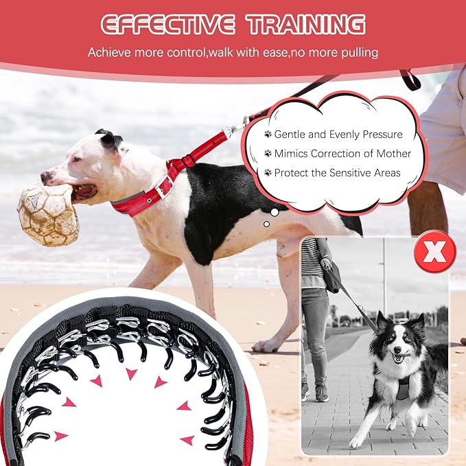 Reflective Martingale Collar for Dogs - Hidden Anti Pull Adjustable Training Collar Heavy Duty Buckle, Suitable for Small Medium Large Dogs on Walking & Hunting,Red,M