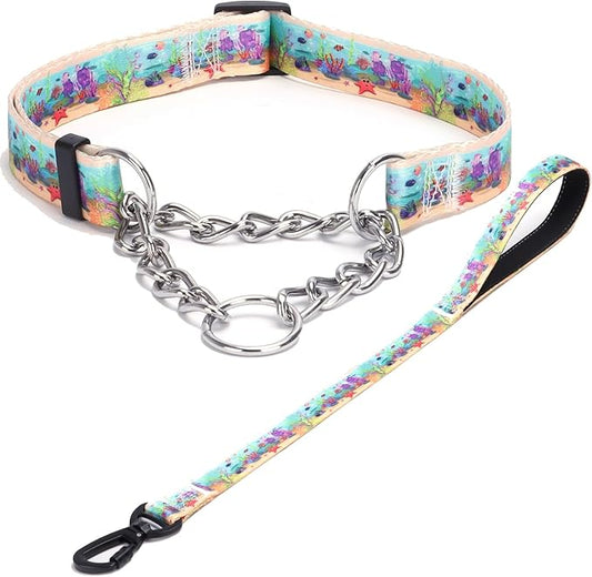 Martingale Dog Collar with Stainless Steel Chain - Limited Chain Cinch Training Collar for No Pull Training Dog - Flower Multicolor Cute Patterns - Premium No Slip Collar (S, Ocean Set)