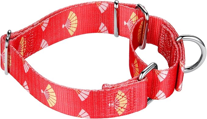 Mikivery Martingale Collar for Dogs 1 inch Sturdy Durable Collars Medium and Large Breed for Walking Training Outdoor Daily Use