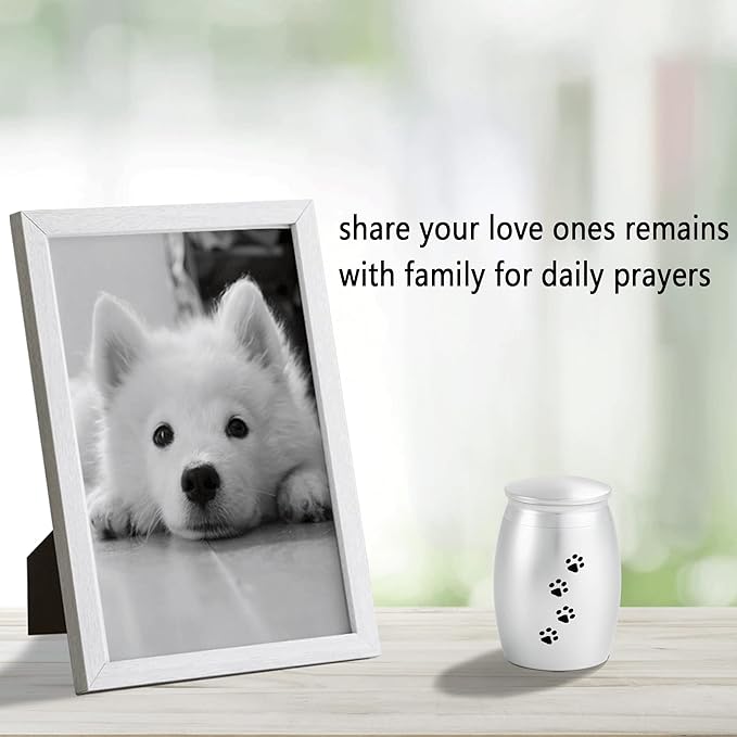 2.67 Inches Small Keepsake Urns for Dog Ashes,Mini Cremation Tiny Urn for Memorial Dog or Cats Pet Ashes with Paw Print