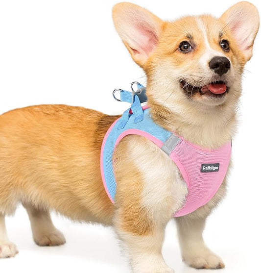 rabbitgoo Small Dog Harness, Step-in Soft Mesh Puppy Vest with Safety Buckle, Breathable Reflective Pet Harness for Small Medium Dogs, Blue & Light Pink L