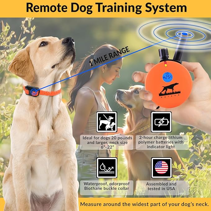 Educator E-Collar The Upland Dog Training Collar w/Remote - 100 Levels of Safe Stimulation, Night Light, Waterproof, Rechargeable, Includes Premium Finger Clicker for 1 Mile 1 Med/Large Dogs, Orange