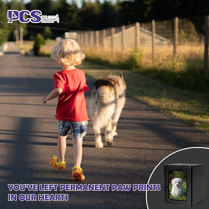 PCS Pet Urn for Dogs' Ashes - Photo Urn, Cremation Box, Black-Medium