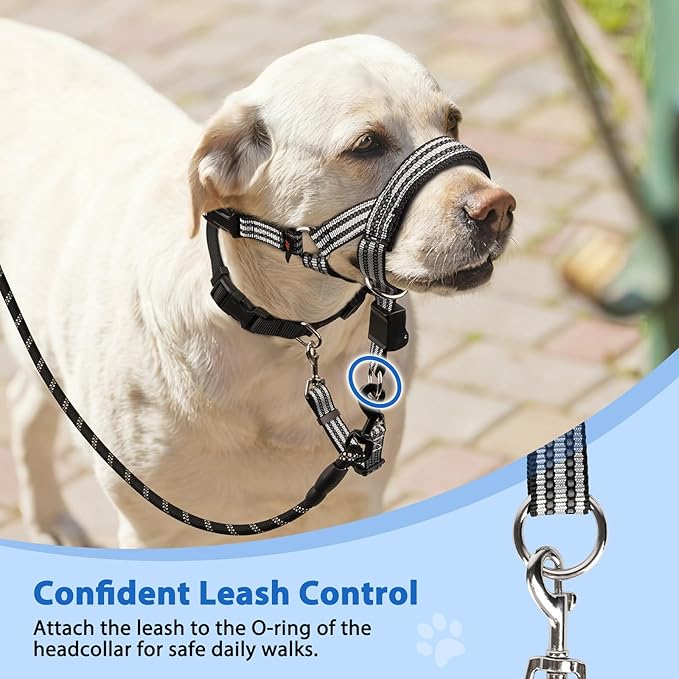 BARKLESS No Pull Dog Head Collar for Gentle Training Walking, Soft Padded Head Halter with Collar Safety Clip, Comfortable Fit Muzzle Leash with Reflective Strap for Medium Large Dog (Grey, L)