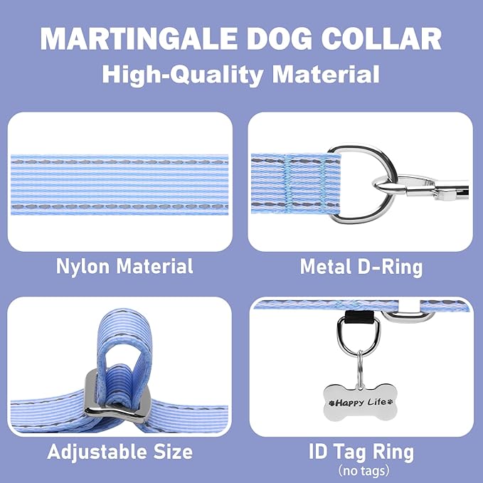 Reflective Martingale Collar for Dogs Nylon Training Collar with No Buckle, No Pull Escape Proof Dog Collar for Medium Dogs（Blue Stripe，M）