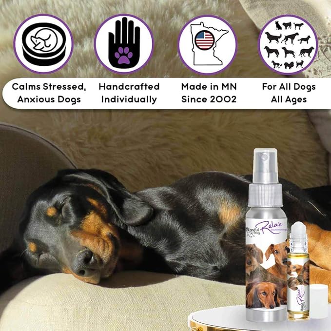 The Blissful Dog Dachshund Relax Dog Aromatherapy Spray for Your Dog's Anxiety