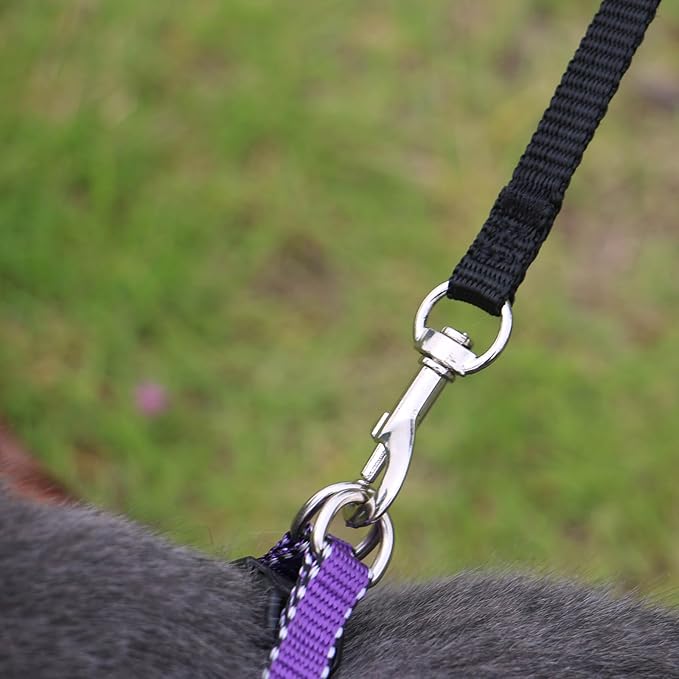 AMAGOOD 6 FT Cat Leash, Strong and Durable Traditional Style Leash with Easy to Use Collar Hook,Cat Lead Great for Cats (3/8 in x 6 ft,Black and Red(2-Pack))