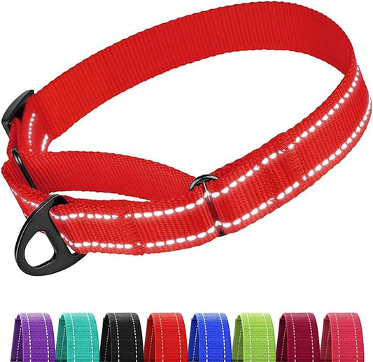 CollarDirect Reflective Martingale Dog Collar Nylon Heavy Duty Training Pet Collars for Small Medium Large Dogs Puppy Black Blue Mint Green Red Pink Purple Dark Red (M, Neck Size 13"-18", Red)