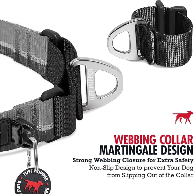 Tuff Pupper Martingale Collar for Dogs | Gentle Nylon Limited Cinch is Perfect for Training | Durable Locking Buckle | Reflective for Safer Night Walking | Sizing for All Breeds (Black, Small)