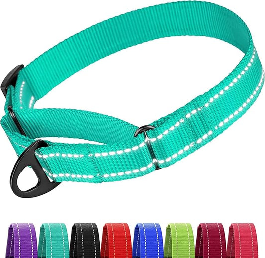 Collardirect Reflective Martingale Dog Collar Nylon Training Collars for Small Medium Large Dogs Puppy Pink Orange Green (S, Neck Size 11"-15", Mint Green)