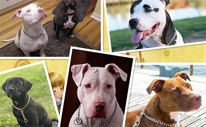 Silver Dog Choker Chain,Metal Slip Link P Chain Training Heavy Duty Male Boys Martingale Collar Female Girls Puppy Collars for XXS XS Small Medium Large Big Breed,L