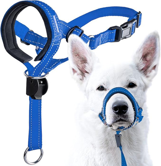 GoodBoy Dog Head Halter with Safety Strap - Stops Heavy Pulling On The Leash - Padded Headcollar for Small Medium and Large Dog Sizes - Head Collar Training Guide Included (Size 2, Blue Nylon)