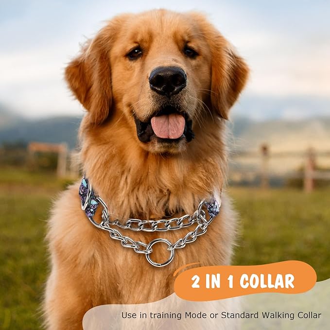 Skull Chain Martingale Collar for Dogs, No Pull Slip Cinch Choker Choke Collar Training Escape Proof Heavy Duty Dog Collar for Extra Large Medium Large Pet Boy Male Dogs, L