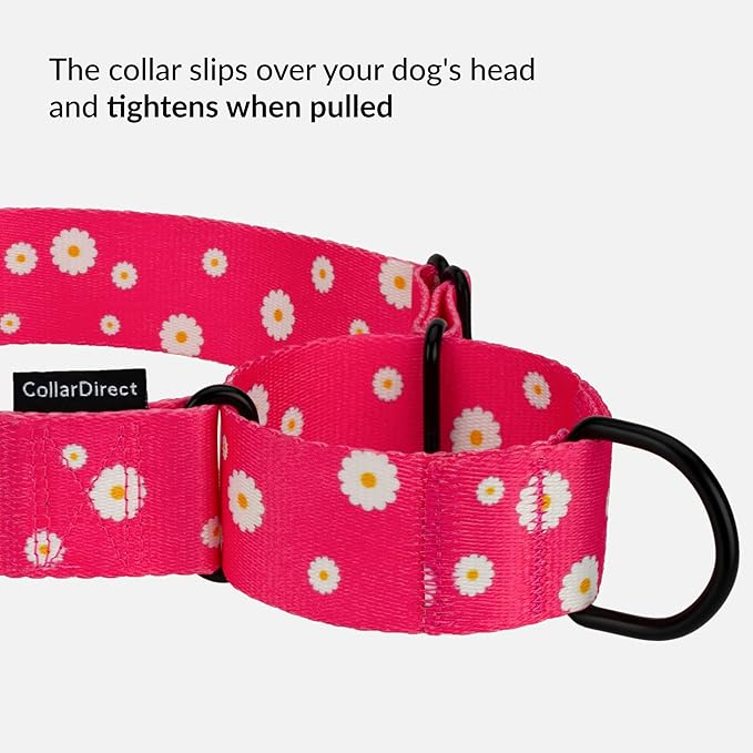 CollarDirect Martingale Collars for Dogs Heavy Duty Floral Pattern Female Safety Nylon Training Wide Collar Flower Design Large Medium (XL, Neck Size 19"-24", Pink)