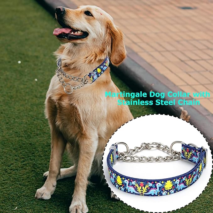 Martingale Dog Collar with Chain, Reflective Adjustable Training Collar with Dinosaur Design for Medium, Large, XL Dogs(Dinosaur Medium)