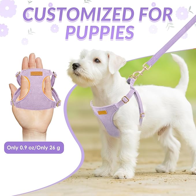 SlowTon Dog Harness Small Sized Dog - Soft XXS Dog Harness and Leash Set No Pull No Chock, Adjustable Lightweight Puppy Harness for XS Small Medium Dogs Cats (Solid Purple, XXS)