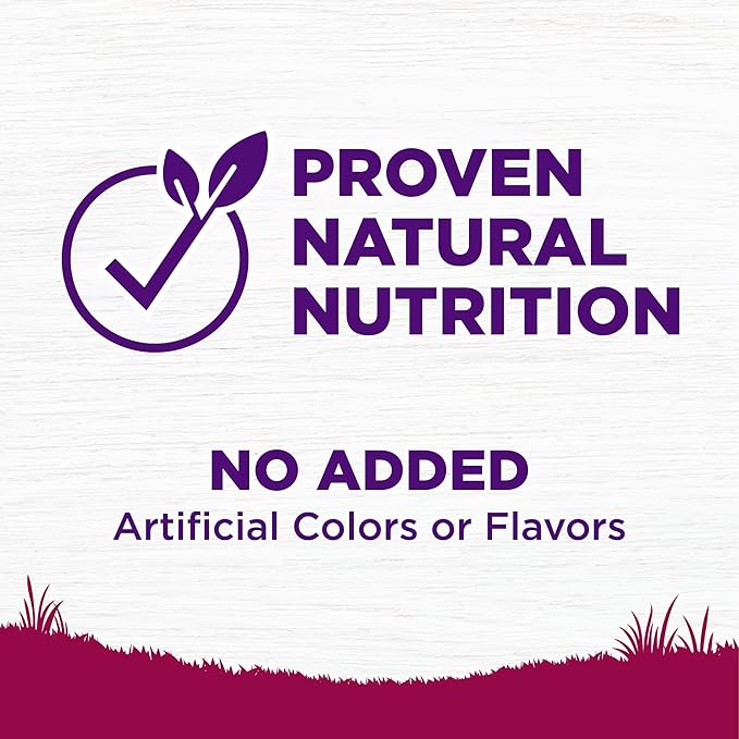 Wellness Complete Health Puppy Dry Dog Food, Small Breed, Wholesome Grains, Natural, Turkey, Oatmeal, & Salmon Recipe, (4-Pound Bag)