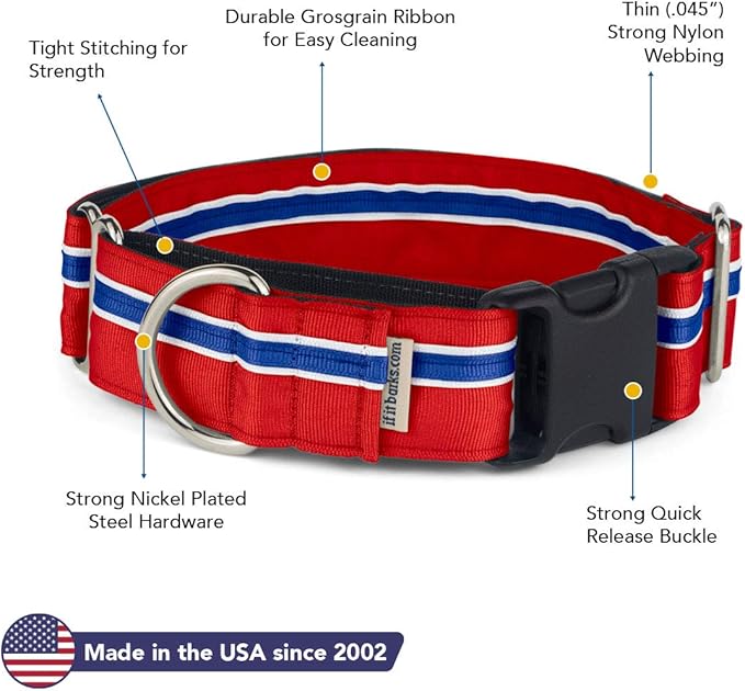 If It Barks - 1.5" Martingale Collar for Dogs - Quick Snap Release Buckle - Adjustable - Nylon - Strong and Comfy - Ideal for Training - Made in USA - Small, Patriotic