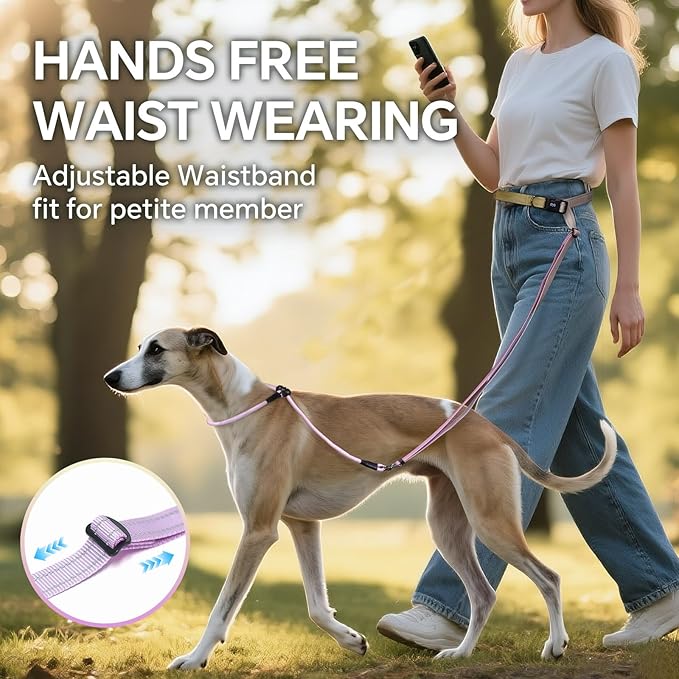 QQPETS Adjustable Slip Lead Dog Leash, Hands Free Waist Leash for Dog Walking, Reflective Training Lead with 360° Swivel Anti-Tangle, 4-7 ft Length for All Breeds