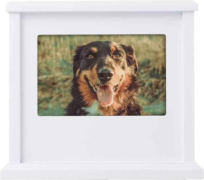 Pearhead Pet Wooden Photo Memory Keepsake Box & Urn, Memorial For Dog & Cat Ashes and Mementos, 4 × 6 Picture Insert, Medium, White