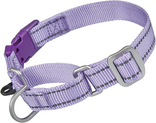 Martingale Collar Reflective Nylon Collar with Safety Quick Release Buckle,Escape-Proof Anti-Pull for Small Medium and Heavy Duty Dogs(Lilac,XS)
