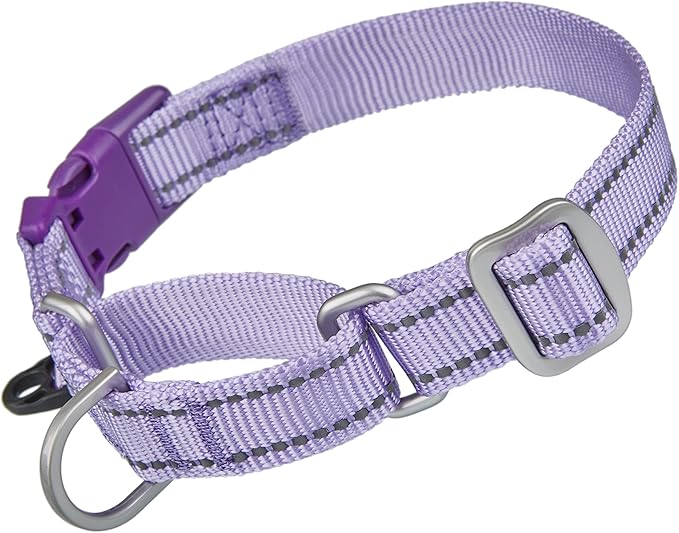 Martingale Collar Reflective Nylon Collar with Safety Quick Release Buckle,Escape-Proof Anti-Pull for Small Medium and Heavy Duty Dogs(Lilac,M)