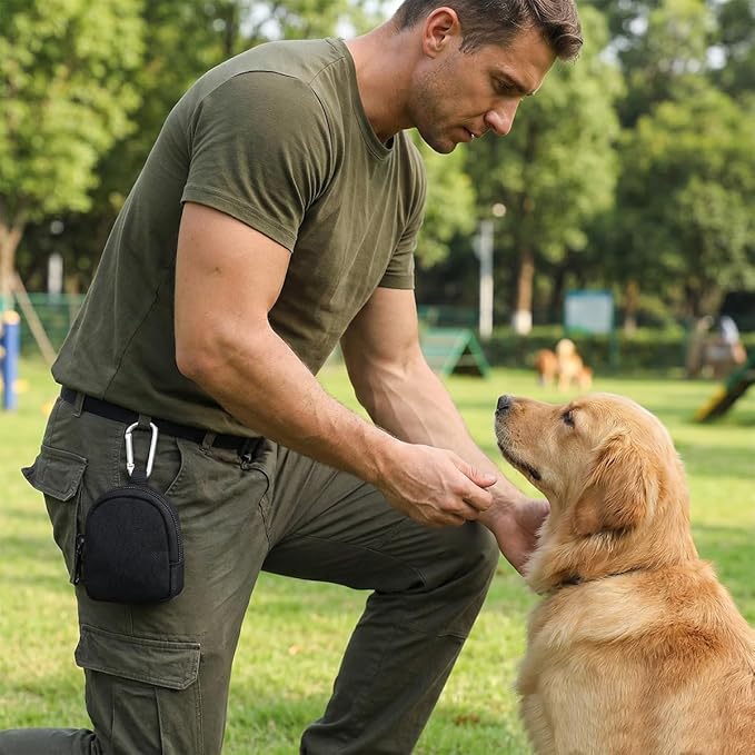 4 PCS Dog Treat Pouchs Portable Puppy Training Treat Pouch Dog Train Reward Pouch Hand Free Puppy Dogs Snack Bag with Carabiner Portable Pet Walking Bagfor Pet Puppy Travel Outdoor Use