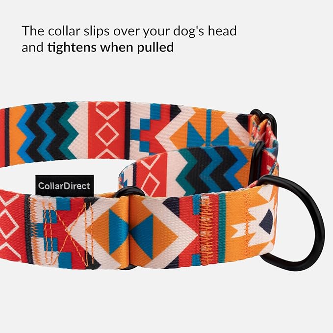 CollarDirect Aztec Martingale Collars for Dogs Heavy Duty Tribal Pattern Safety Nylon Training Collar Large Medium Small (Sunny Tidal, L, Neck Size 15"-20")