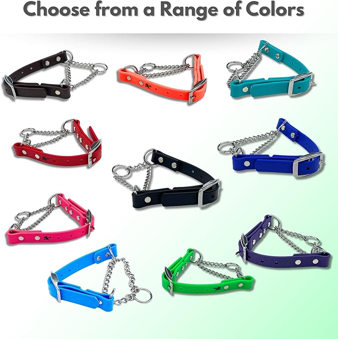 Martingale Collar for Dogs, Biothane, Stainless Steel Hardware, No Pull, Made in The USA, Professional Grade, Medium, Purple