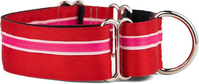 If It Barks - 1.5" Martingale Collar for Dogs - Adjustable - Nylon - Strong and Comfy - Ideal for Training - Made in USA - Custom, Shortcake