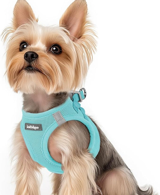 rabbitgoo Small Dog Harness, Step-in Soft Mesh Puppy Vest with Safety Buckle, Breathable Reflective Pet Harness for Small Sized Dogs, Mint Blue XS