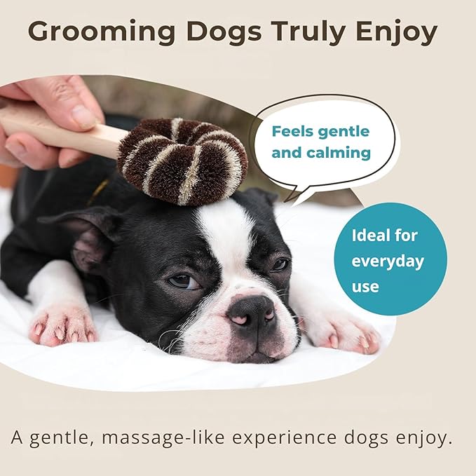 Dog Grooming Brush – Natural Fiber Dog Brush for Gentle Finishing & Daily Coat Care, Made in Japan, Low Static, Wooden Handle (Large Dog)