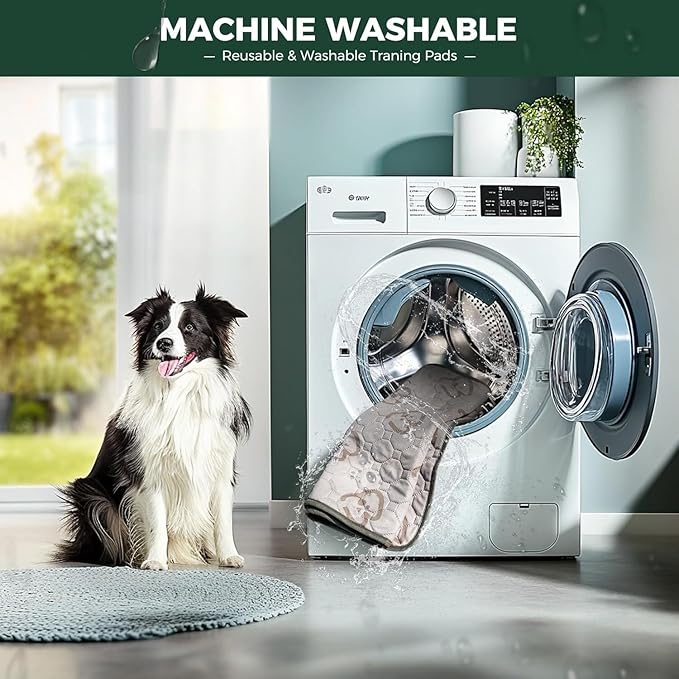 FXW Washable Pee Pads for Dogs, Leak-Proof & Non-Slip, Specifically Designed for Potty Training, 39" Square, Khaki, 1 Pack