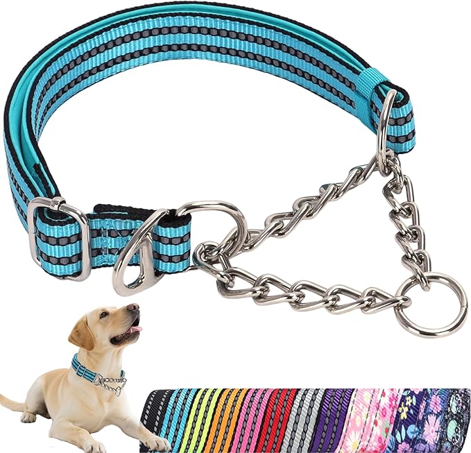 Martingale Collar for Dog -No Pull Dog Collar with Reflective Nylon, Adjustable Choke Chain Collar with Soft Padded Training/Walking Collar for Large/Medium Dogs (Blue XL)
