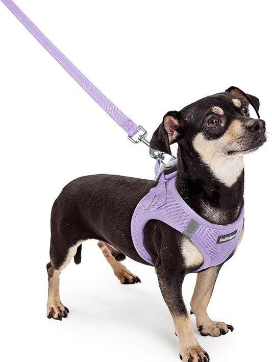rabbitgoo Dog Harness Small Sized and Leash Set, Step in Soft Light Puppy Vest, Breathable Mesh Pet Harness, Reflective for Safe Easy Walking, Light Purple XXXS