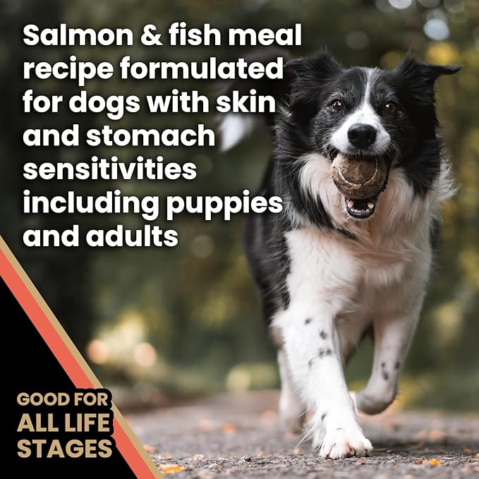 VICTOR Super Premium Dog Food — Sensitive Skin and Stomach — Salmon Meal & Brown Rice Recipe Dry Kibble — Gluten Free, No Chicken, Ideal for Dogs with Allergies — Adult and Puppy Food, 30 lb
