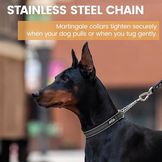 ANDA Martingale Collar for Dogs, Adjustable with Reflective Stainless Steel Chain, No-Pull Escape-Proof Training Collar for Medium and Large Breeds (Black, Medium)
