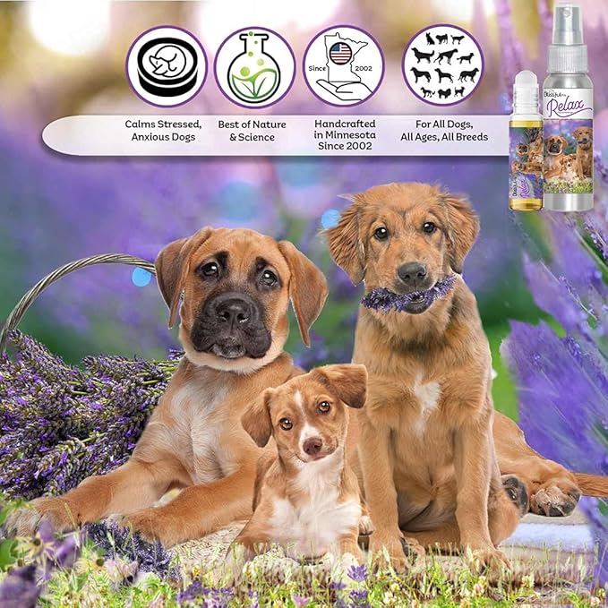 The Blissful Dog Relax Roll-ON Aromatherapy for Dogs - Anxiety Relief for Dogs