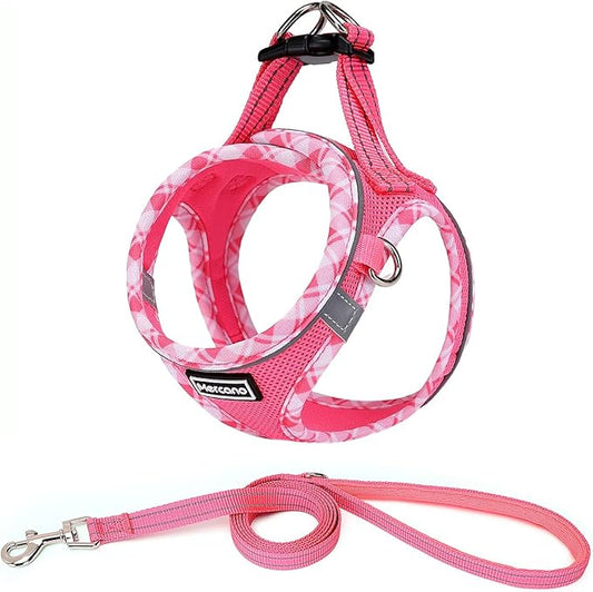 Mercano Soft Mesh Dog Harness and Leash Set, No-Chock Step-in Reflective Breathable Lightweight Easy Walk Vest Harnesses with Safety Buckle for Small Dogs, Cats (XL, Fuchsia)