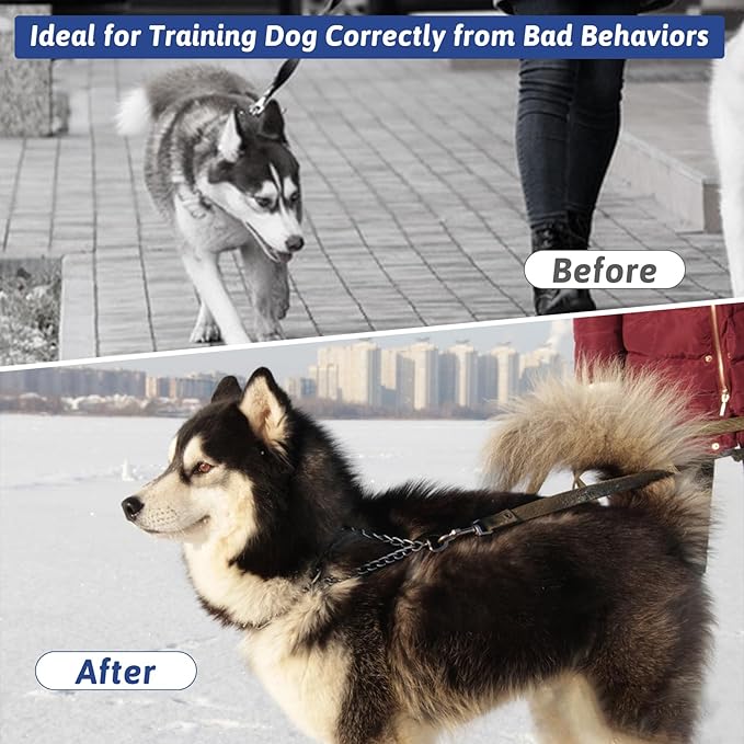 Pinch Collar for Dogs, Prong Training Collar with Quick Release Buckle for Dog Pulling Behavior Correction, Adjustable Pinch Leashes (Small / 12.5-18" Neck Size)