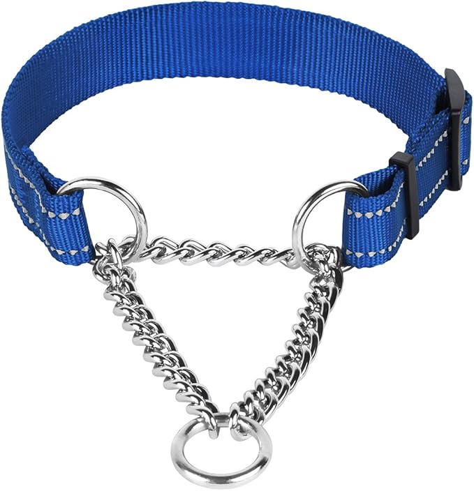 CollarDirect Martingale Dog Collar Training Adjustable Stainless Steel Chain Reflective Nylon Pet Collars for Medium Large Dogs (S, Neck Fit 12"-18", Blue)