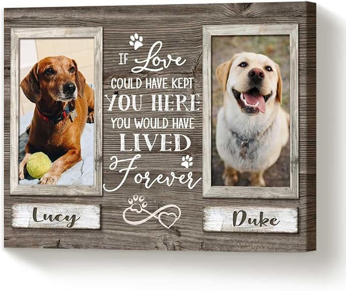 Benicee Shop Pet Memorial Gifts, Sympathy Gifts For Pet Loss, Double Picture Canvas Frame, Gift For 2 Pets
